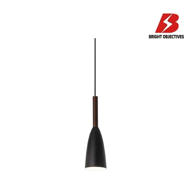 Bo 11200/1P- Pendant Lamp