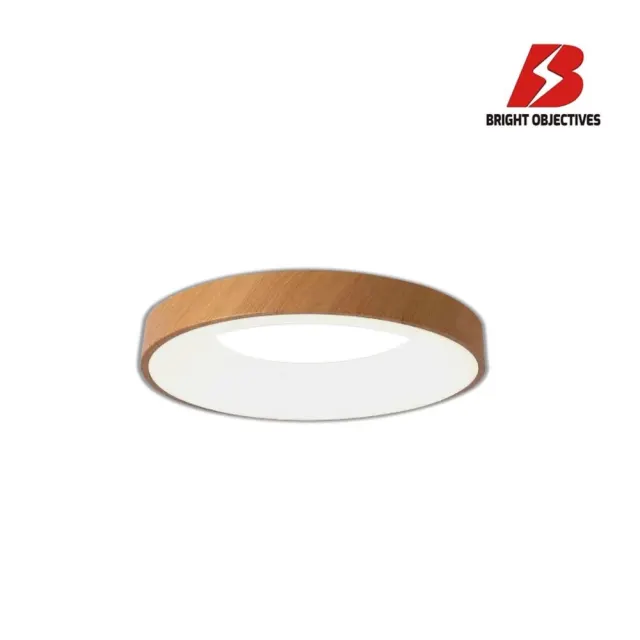 Bo 15441/500-C Ceiling Lamp