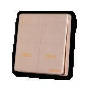Megaman YTZ8-2MJ 250V 10A 2G Entrance Guard Switch