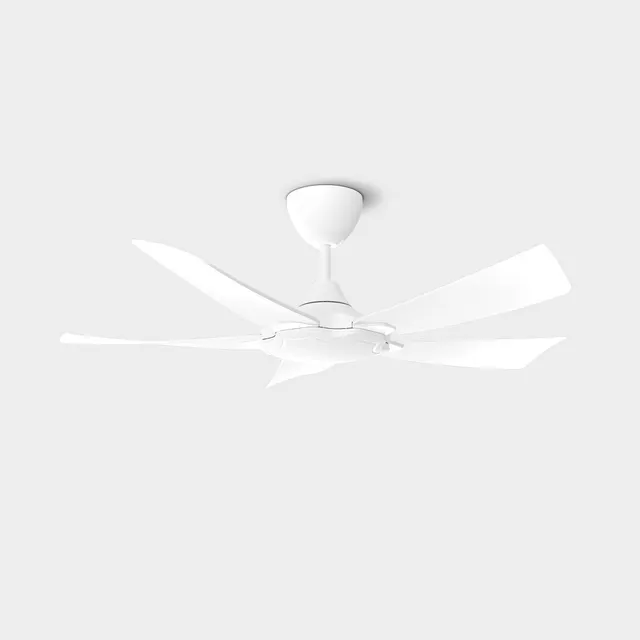 Riegen RCF-BRISE43-5B-WH Ceiling Fan (43")