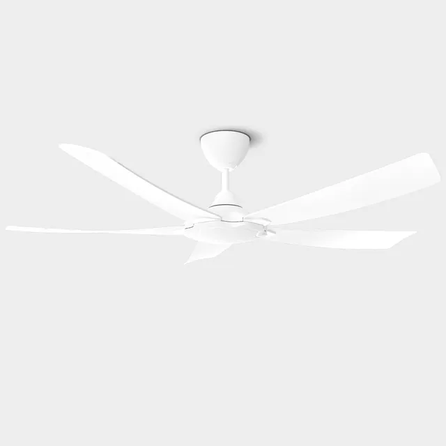 Riegen RCF-BRISE56-5B-MW Ceiling Fan (56")