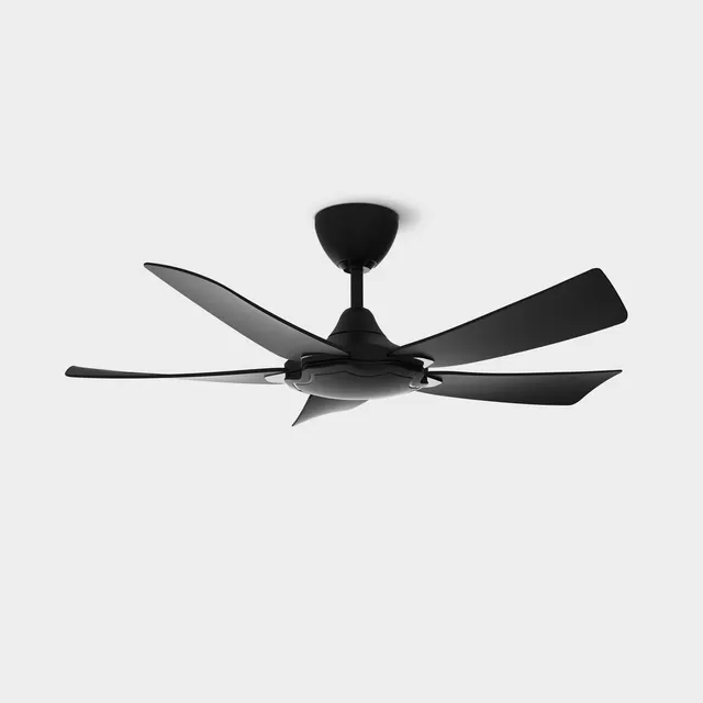 Riegen RCF-BRISE43-5B-MB Ceiling Fan (43")