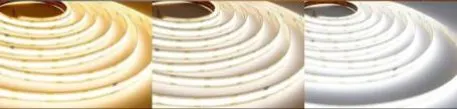 Dujia COB LED Strip 24V 480D 8MM Tunable White 2700-6500K 10MTR/PKT