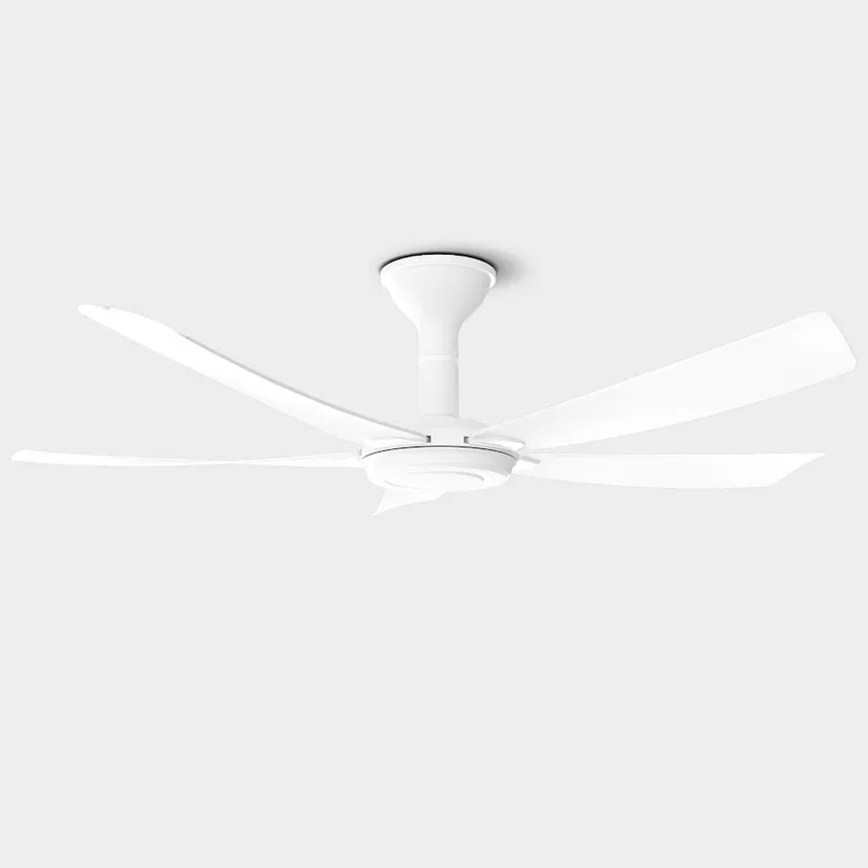 Riegen Aero 56"