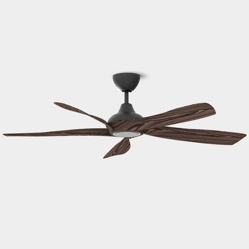 Riegen Bloom 56"