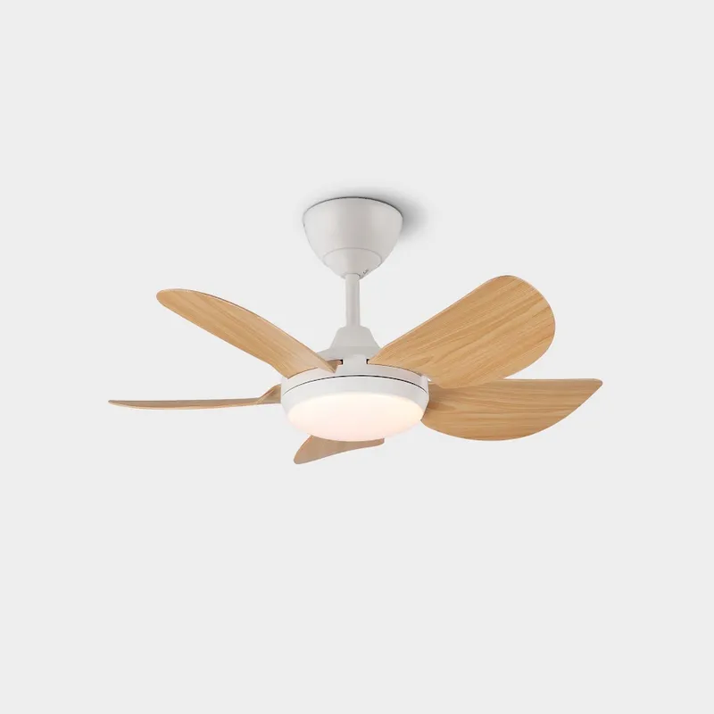 Riegen Mini 30"